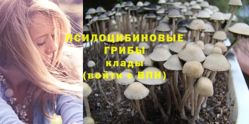 blacksprut как войти  Десногорск  Галлюциногенные грибы MAGIC MUSHROOMS 